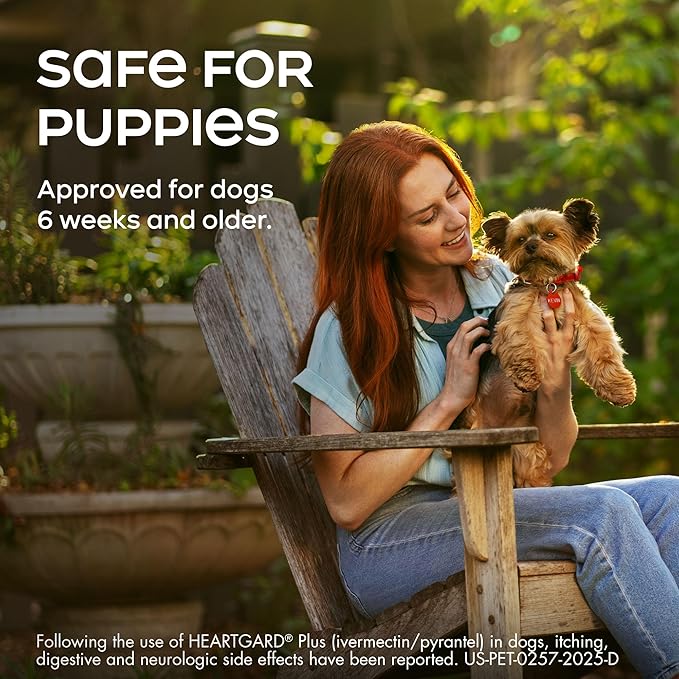 HEARTGARD® Plus (ivermectin/pyrantel) Real-Beef Chewables for Dogs up to 25 lbs (Blue Box) 1 Month Supply of Chews (Heartworm Disease Preventive)