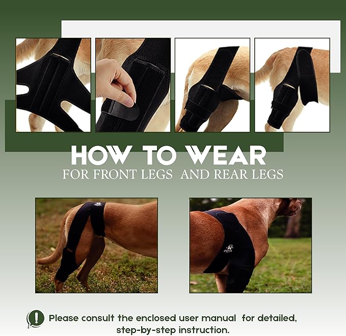 Adjustable Dog Knee Brace for Torn ACL and Luxating Patella - Support for Back Leg, Hip Dysplasia, and Post-Surgery Recovery. Optimal Comfort and Stability for Your Beloved Pet