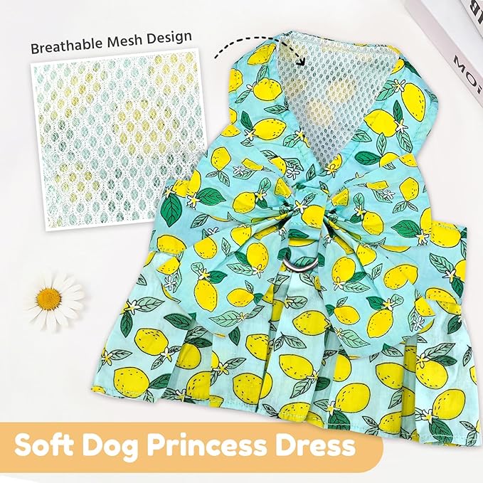 BAEJMJK Dog Dress Bowknot Harness Leash Set for Small Dogs Cats Girl Floral Princess Dog Dresses Cute Puppy Fruit Clothes Pet Doggy Outfits Spring Summer Breathable Dresses(Green,X-Small)