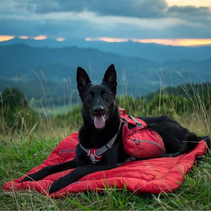 Kurgo Loft Wander Dog Bed - Travel-Friendly Comfort Roll - Durable Water Resistant Top - Microtomic Ripstop Material - Portable Bed Roll - Non-Slip Bottom - Chili Red - Large
