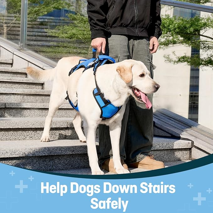 Dog Lift Harness for Large Dogs, Full Body Support Sling with 3 Handles and Shoulder Strap, Carrying Vest for Senior Dogs with Arthritis or Joint Injuries, Stairs Assistance, Blue, X-Large