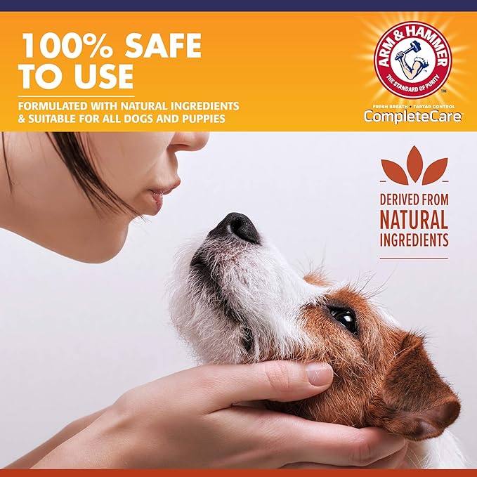 Arm & Hammer Complete Care Dog Dental Spray, 6 Fl Oz | Mint Flavor Dog Dental Spray for Easy Brushless Cleaning | Baking Soda Enhanced Formula for Fresh Breath and Tartar Control (Pack of 2)