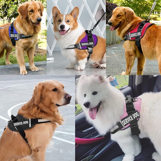 JSXD Dog Harness,No-Pull Service Dog Harness with Handle Adjustable Outdoor Pet Dog Vest 3M Reflective Nylon Material Vest for Breeds,Easy Control for Small Medium Large Dogs