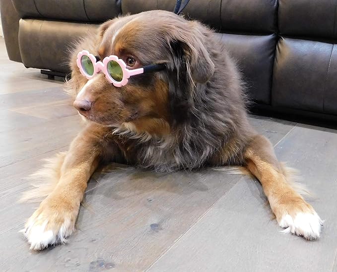 G001 Dog Sunglasses for Costume Medium Breeds (20-40lbs) (Flower Pink-Pink Mirror)