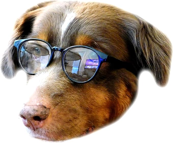 G003 Dog Cat Pet Costume Panto Round Sunglasses Small to Medium Breeds 15-30lbs (Panto Black-Clear Lens)
