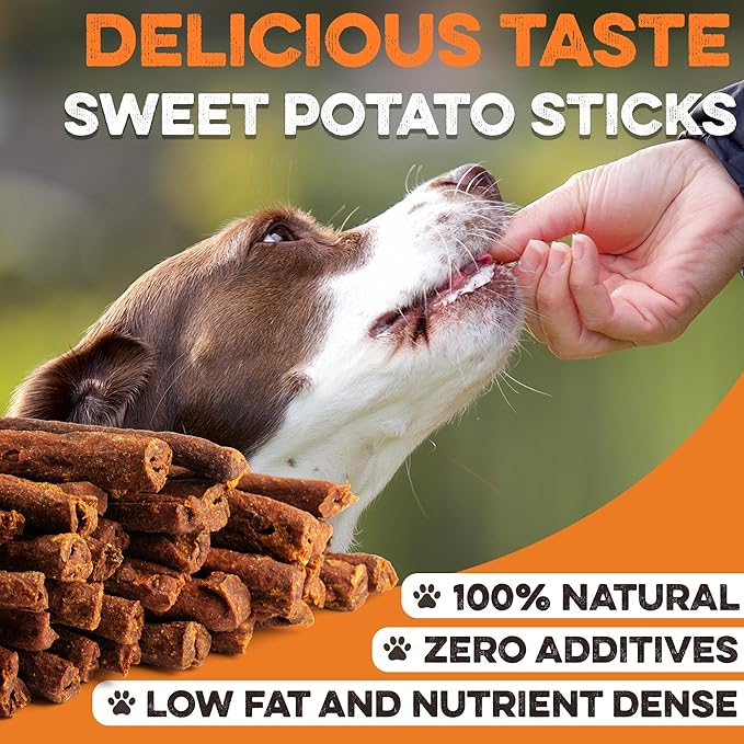 BRUTUS & BARNABY USA Sweet Potato Dog Treats - Crunchy Grain Free Cinnamon Apple Sticks, Promotes Positive Gut Health with Natural Anti-Diarrhea Properties (Cinnamon & Apple, 8 oz)