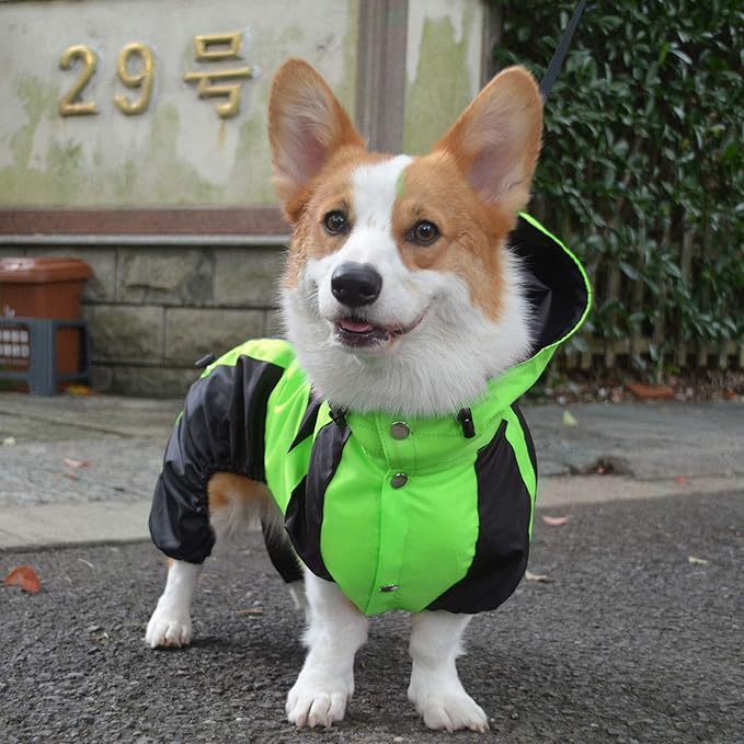 Lovelonglong Welsh Corgi Dog Hooded Raincoat, Dachshund Rain Jacket Poncho Waterproof Clothes with Hood Breathable 4 Feet Four Legs Rain Coats for Corgis Dachshund Green D-L