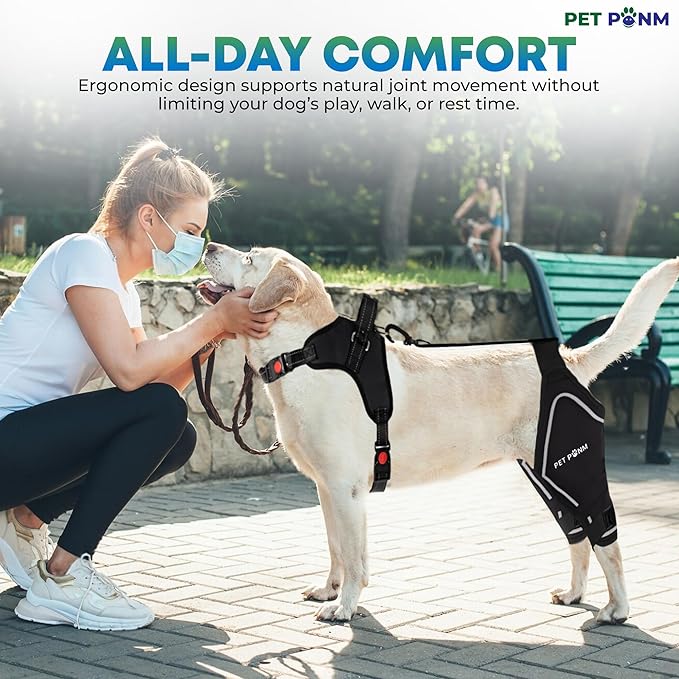 Comfortable Dog Knee Brace for Both Hind Legs with Harness - for ACL Tear, Luxating Patellae, Osteoarthritis & Instability - for Recovery & Injury Prevention in Active/Aging Dogs - (Large)