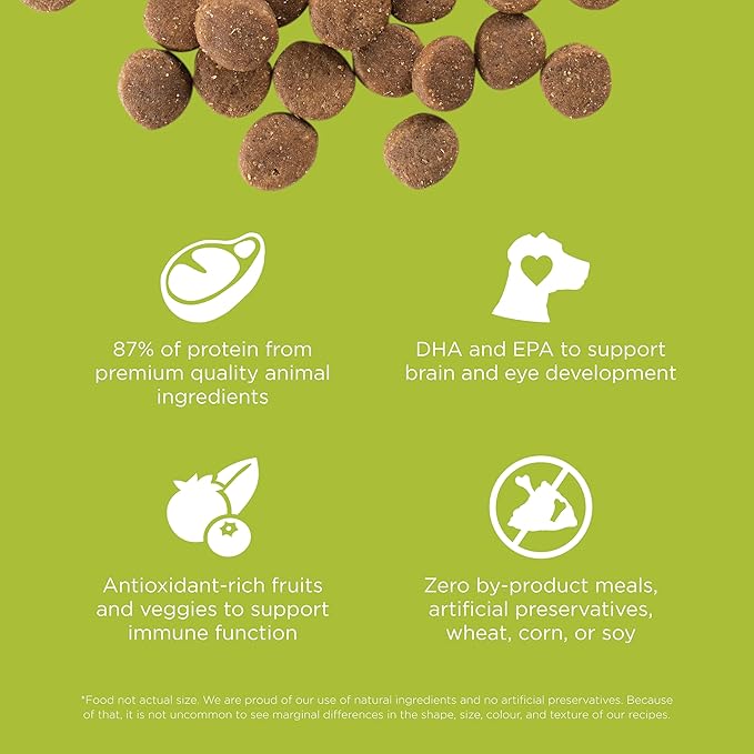 Go! Solutions Carnivore Chicken, Turkey + Duck Grain-Free Dry Puppy Food, Our Highest-Protein Kibble Made with Real Meat & Fish, Pumpkin & Probiotics for Good Digestion, 3.5 lb Bag