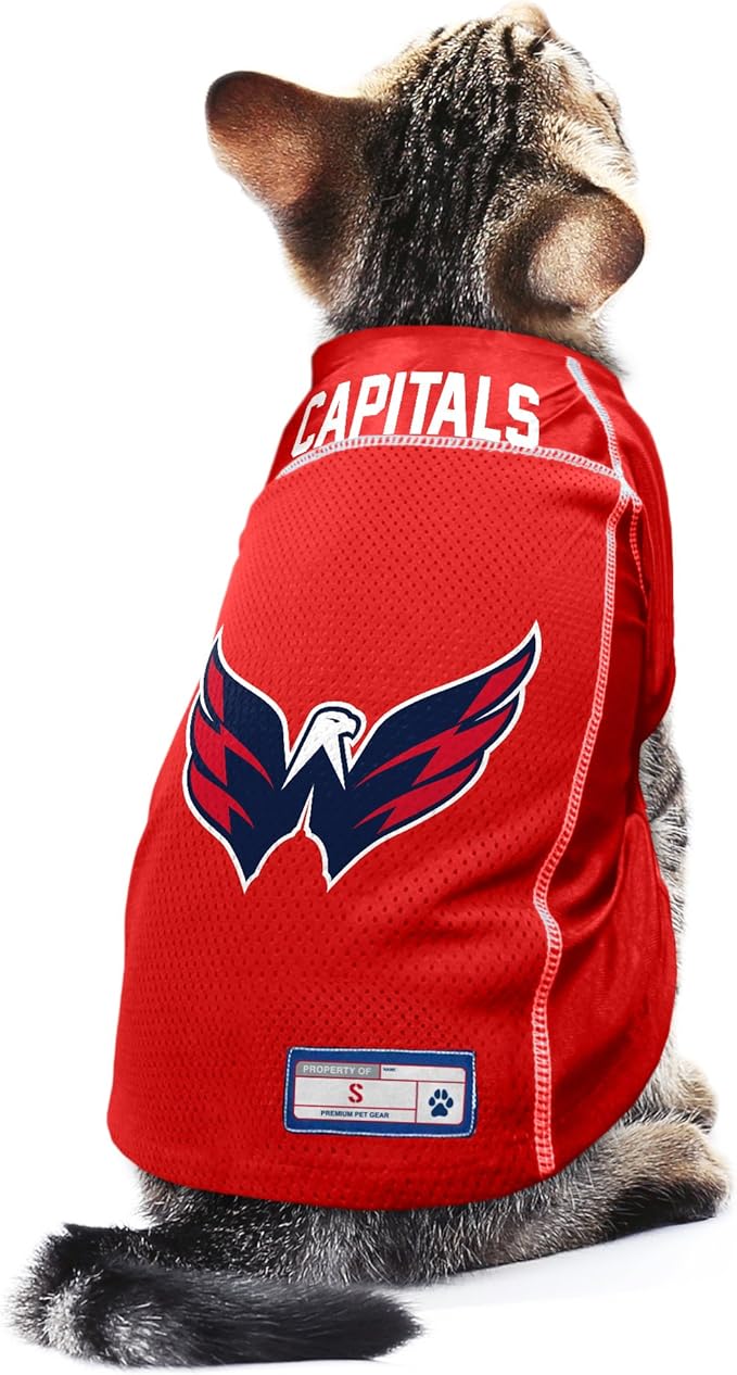 Littlearth NHL Detroit Red Wings Basic Pet Jersey, Team Color