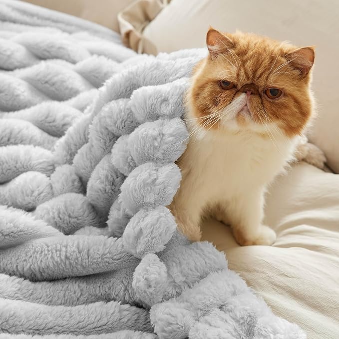 Bedsure Blankets Queen Size for Bed - 350GSM Super GentleSoft Fuzzy Fluffy Cozy Blankets for Women, Cute Large Plush Fleece Throws for Girls, Light Grey，90x90 Inches, Wider Striped Design
