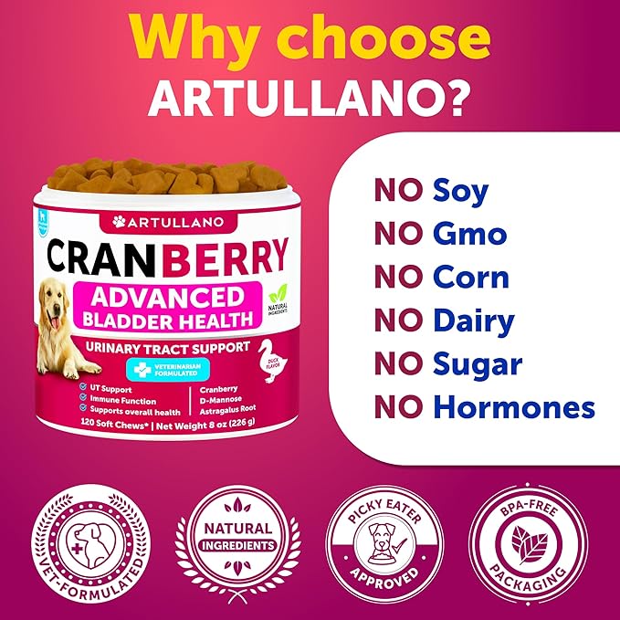 Dog UT Treatment - Cranberry Chews for Dogs - Urinary Tract & Bladder Support Supplement with Natural Cranberry Extract - Tasty 120 Soft Bites for Daily Wellness with Fish Oil, Pumpkin, D-Mannose