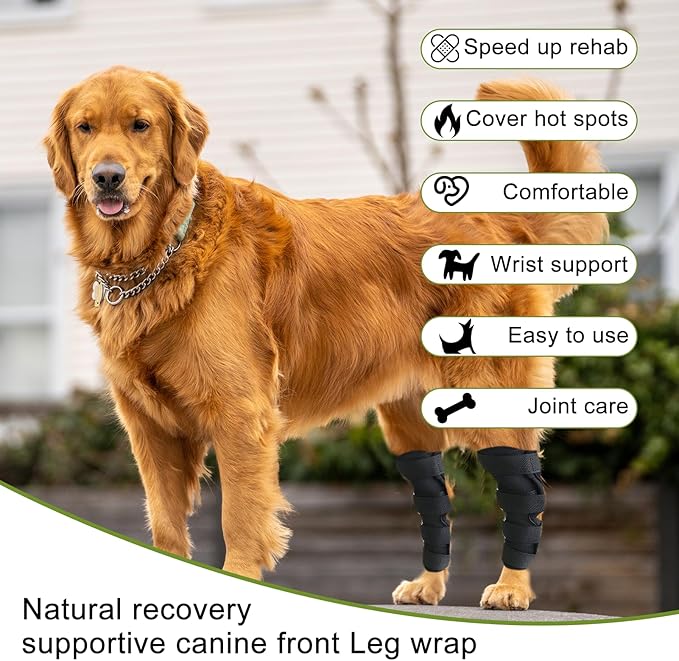 Dog Leg Braces for Rear Leg, Adjustable Dog Leg Sleeve Added Mobility Safety for Active Aging Dogs, Knee Support Straps for Outdoor Adventures Daliy Use Enhanced Stability (XL)