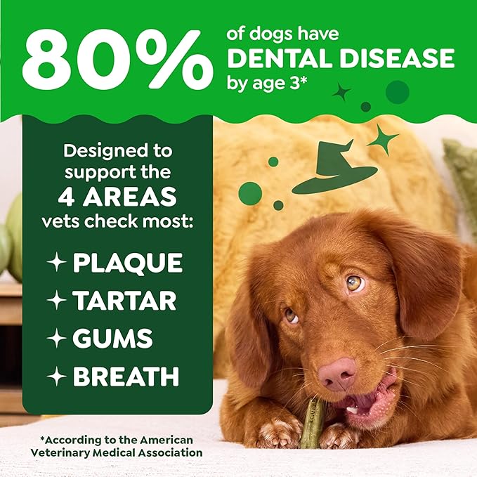 Greenies Veterinarian-Recommended, Limited-Edition Natural Dental Dog Treats Large Size, Pumpkin Spice Flavor, 12 oz. Pack, 8 Count