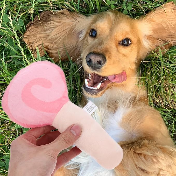 BESPORTBLE Dog Chewing Toy Funny Lollipop Shaped Squeaky for Pets Molar Training Chew Toy for Puppies to Boredom and Furniture Damage
