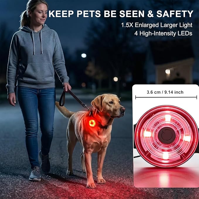 Pro Dog Collar Light IPX7 Waterproof, USB-C Rechargeable 4-Color Steady/Flashing Dog Light Up Collar, Upgraded Anti-Drop Buckle & Strap Dog Lights for Night Walking, Swimming, Camping