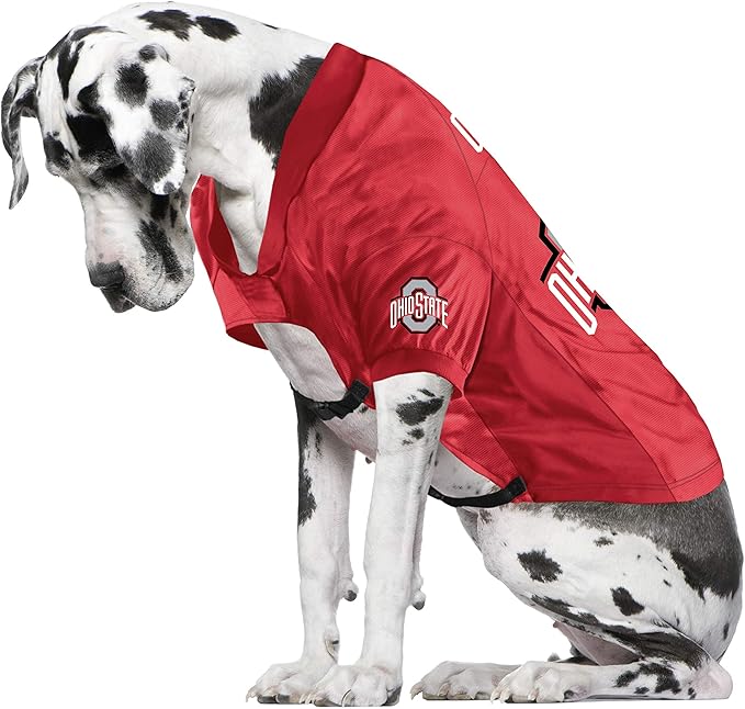 Littlearth NCAA Ohio State Buckeyes Stretch Pet Jersey, Team Color, Big Dog