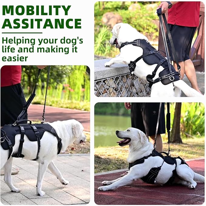 PUPTECK Dog Lift Harness for Medium Large Sized Dog, Rehabilitation Sling for Hind Leg Support, Multifunctional Mobility Assistance Harness for Old, Disabled, Joint Injuries, Paralysis Dogs, Black M