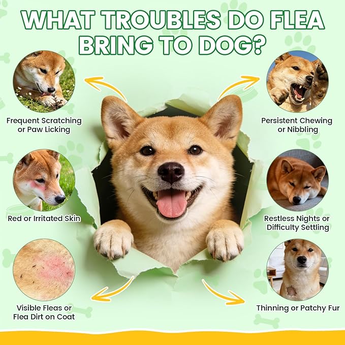 Flea and Tick Prevention for Dogs Chews – 500 Tasty Chicken Flavor Soft Chews, with Pumpkin Seed Extract, Fish Oil, and Vitamins for Dogs, Puppies, All Breeds & Ages.