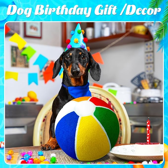 Shappy 1 Pcs Dog Water Toys Giant Pet 9.5 Beach Ball Pool Toys Beach Materials Dog Ball with Air Pump Large Pet Toy Funny Outdoor Sports for Small Medium Puppy Birthday Gift Summer Swimming Pool