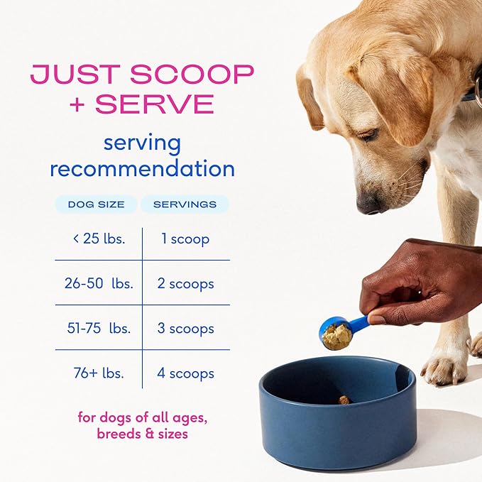 Native Pet Hip & Joint Advanced Care Dog Joint Supplement Powder for Mobility & Movement Support, Joint Supplement for Dogs with HMB, UC-II Collagen, Green Lipped Mussel & Hyaluronic Acid – 60 Scoops