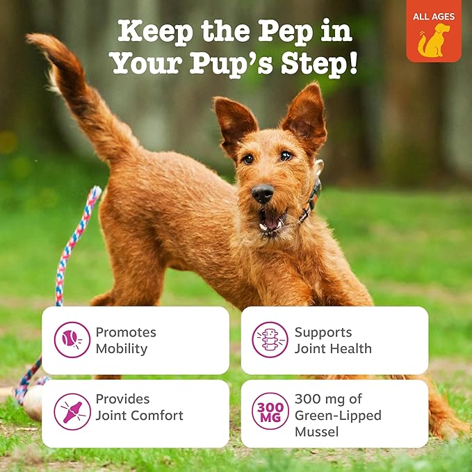 Zesty Paws Mussel Mobility Bites for Dogs - New Zealand Green Lipped Mussel with Natural Glucosamine & Chondroitin + Omega-3 Fatty Acids - Hip & Joint Support Supplement Soft Chews – 90 Count