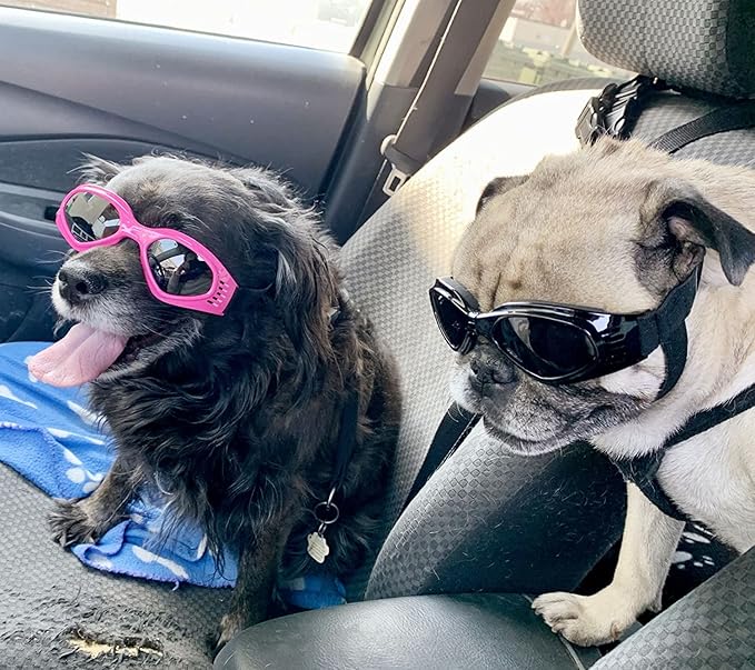 NAMSAN Dog Goggles for Small to Medium Dogs, Dog Sunglasses UV Protection for Medium Dogs Outdoor Cycling Driving, Small Puppy Glasses Dog Eye Protection, Anti-Fog Windproof, Adjustable, Black