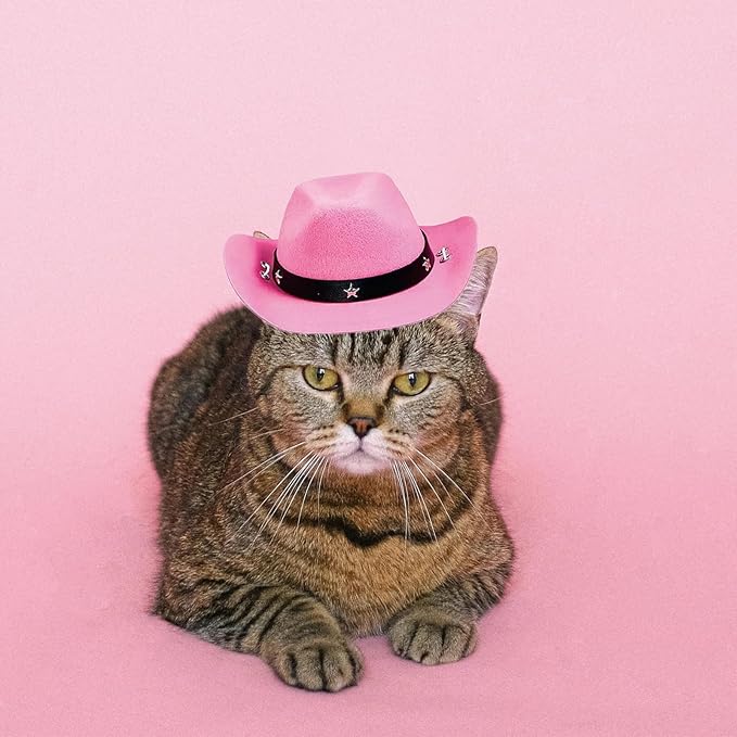 Pet Dog Costume Cowboy Hat Cosplay Cap Puppy Pet Dog Cat Holiday Pet Party Decoration (Pink)