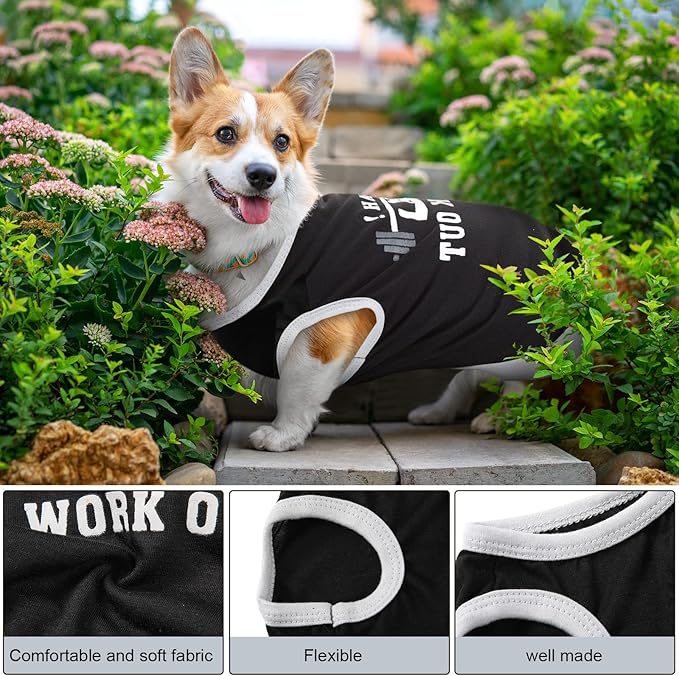 Reginary 8 Pcs Dog Clothes for Small Dogs Boy Summer Shirts Soft Breathable Chihuahua Yorkie Cute Pattern Shirt Puppy Cat Clothing Fit for Mini and Medium Dogs(Large)