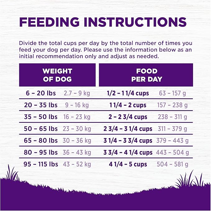 Wellness Complete Health Dry Dog Food, Wholesome Grains, Natural, Lamb & Barley Recipe, (26-Pound Bag)