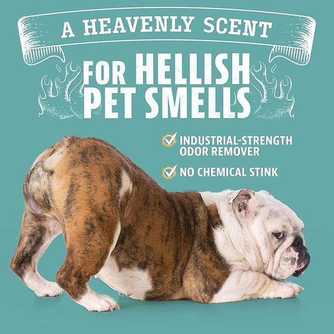 ANGRY ORANGE Pet Odor and Floor Cleaning Set – Citrus Mint Floor Cleaner (32 oz, 2 Pack) + Citrus Odor Eliminator for Dog and Cat Urine and Stains (24 oz)