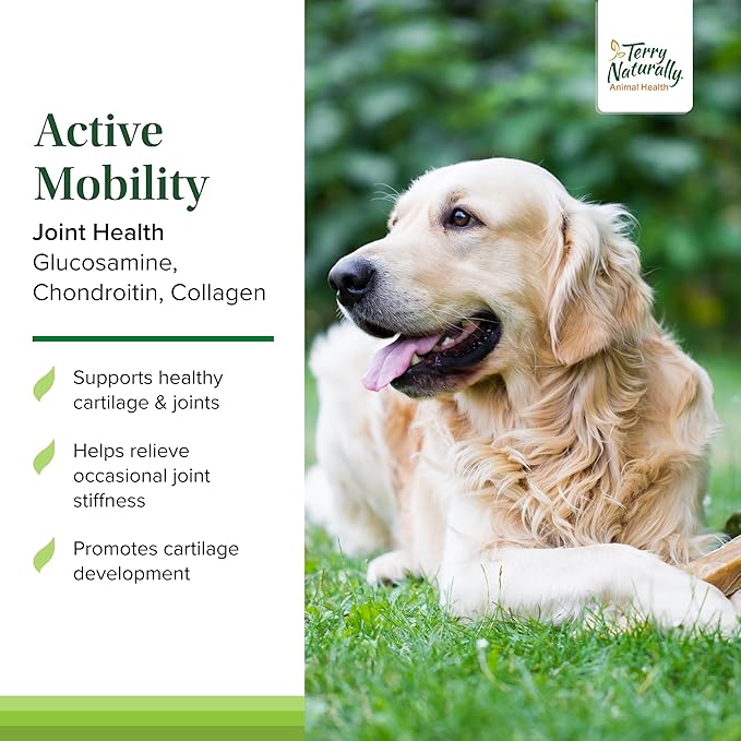 Terry Naturally Active Mobility - Joint Health Support for Pets - Supplement for Animal Health - Hip and Knee Aid for Dogs - Includes Glucosamine, Chondroitin & Collagen - 60 Chewable Tablets