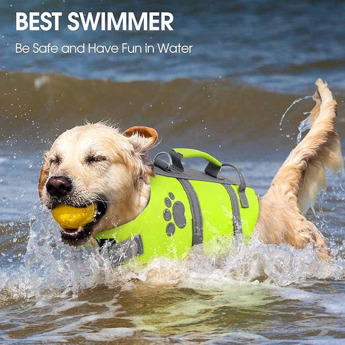 Queenmore Small Dog Life Jacket, Ripston Dog Life Vest, Small Doggie Life Vest for Swimming, Safety Puppy Swimming Vest with Handle, Puppy Preserver for Boating, Pet Lifesaver for Water Pool