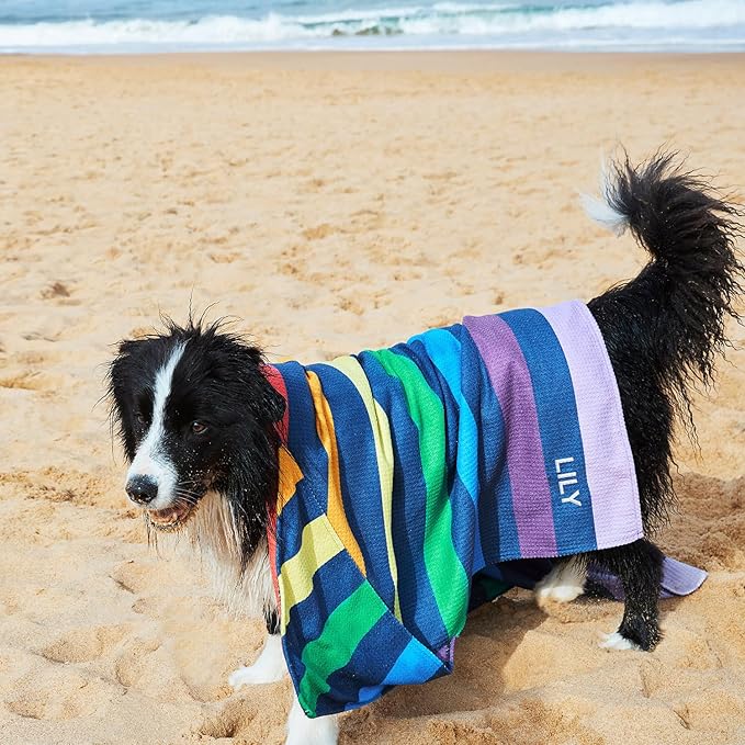 Dock & Bay Pet Towel - Super Absorbent & Quick Drying Dog Towels with Bag - 100% Recycled - Pups with Pride, Medium (90x50cm, 35x19)