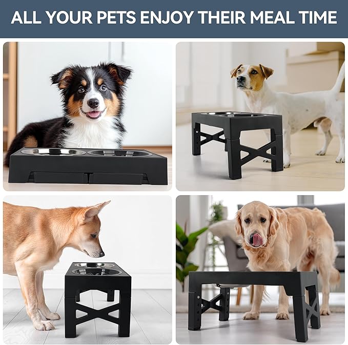 PAWISE Elevated Dog Bowls, 5 Height Adjustable Raised Dog Bowl Stand with 1 Slow Feeder Bowl & 2 Stainless Steel Bowls, Non-Slip Dog Feeding Station for Large, Medium, Small Dogs and Cats, Black