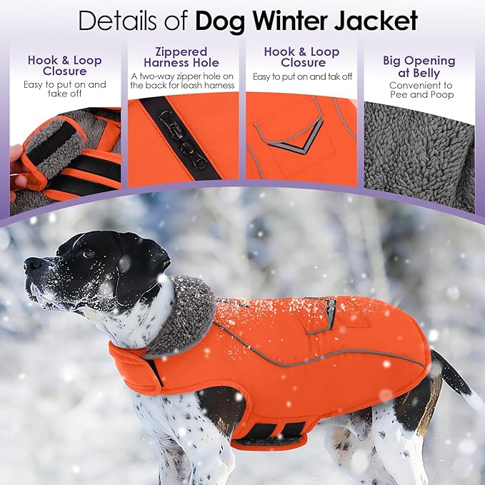 SUNFURA Small Dog Coat, Warm Dog Winter Jacket, Reflective Pet Snow Jacket with Fleece Lined, Waterproof Puppy Snowsuit Pet Sweater Clothes for Small Dogs, Orange XS