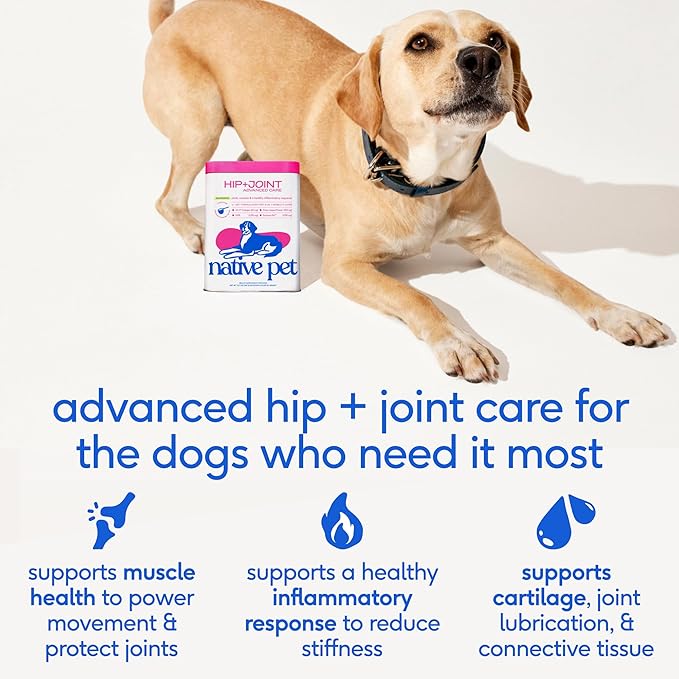 Native Pet Hip & Joint Advanced Care Dog Joint Supplement Powder for Mobility & Movement Support, Joint Supplement for Dogs with HMB, UC-II Collagen, Green Lipped Mussel & Hyaluronic Acid-120 Scoops