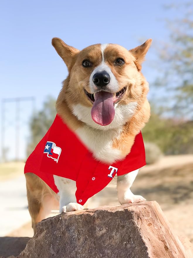 Official MLB Texas Rangers Pet Jersey for Dogs & Cats, Size Large - Stylish Baseball Jersey for Your Furry Fan- Show Off Team Spirit with The Perfect Fan Apparel Gear for Pet, Dog & Cat
