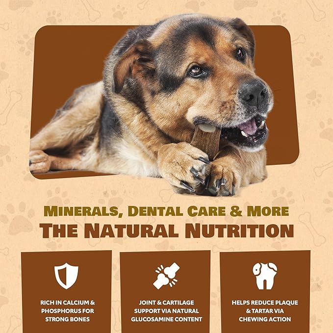 Jumbo Whole Elk Antlers for Dogs | 100% Natural & Organic | Dog Elk Antler for Aggressive Chewers | Whole Dog Antler Chews for Large Dogs 60-90+ lbs | 7-12 Inches, XXL | 12 oz
