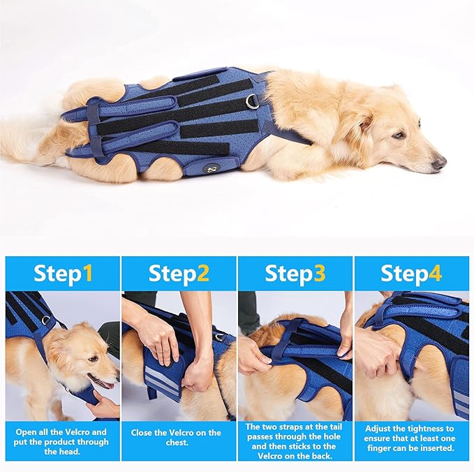 Coodeo Dog Back Brace for Dogs Arthritis, Pet Back Bracer for IVDD, Back Protector Helps Pain Relief, Surgical Recovery and Rehabilitation, Dogs Back Disease Prevention. (Blue,X-Large)