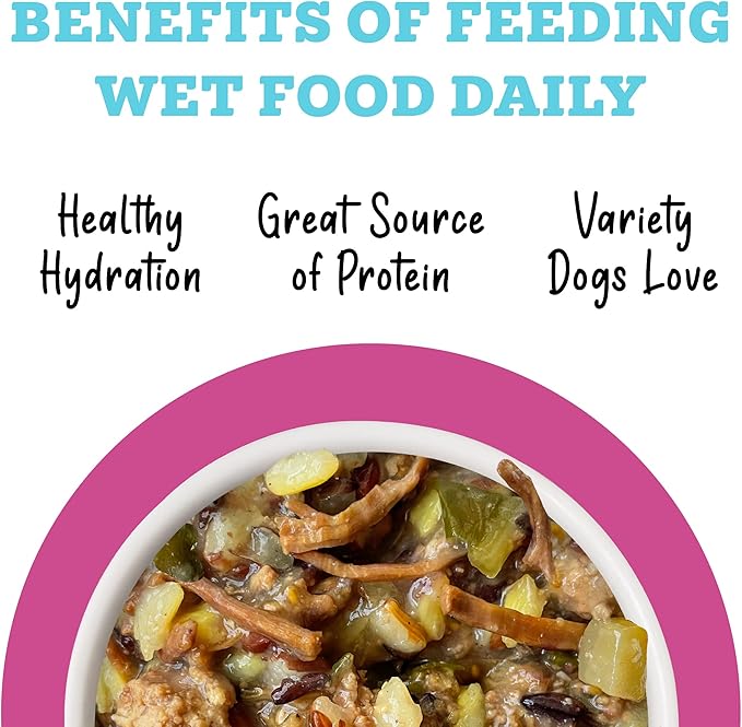 Weruva Awesome Shiny Wet Dog Food, Chicken & Brown Rice with Veggies, 6oz Can (Pack of 8)