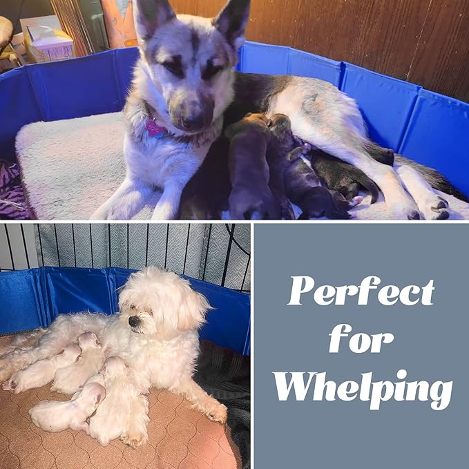 Artilife Whelping Pen for Dogs,Whelping Box for Small Dogs and Puppies,Dog Birth Supplies,Portable Whelping Pool Whelping Box(32" Dia.x8 H)