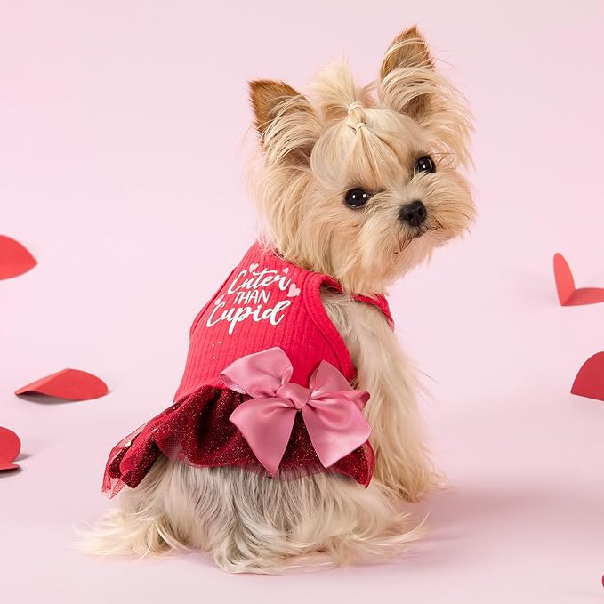 Fitwarm Cuter Than Cupid Dog Tulle Dress, Cute Girl Dog Clothes, Funny Pet Apparel, Burgundy Red, XS