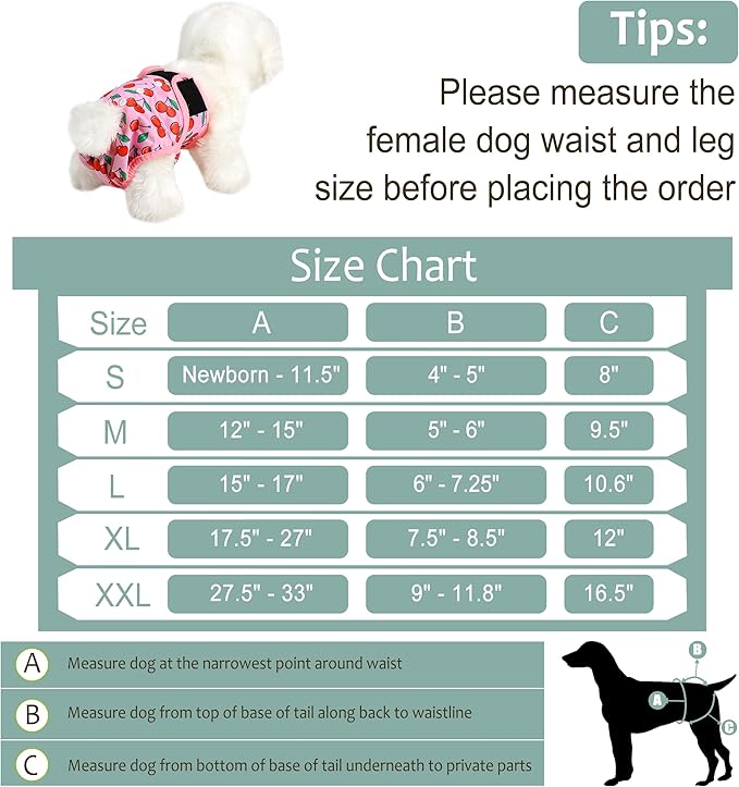 Female Dog Diapers - Premium Reusable Diapers for Dogs in Heat - Highly Absorbent, Leak-free, Adjustable Snaps, Fruits, XL