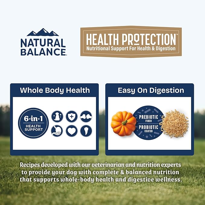 Natural Balance Health Protection Dry Dog Food – Whole Body Health, Easy on Digestion Dog Food Made with Chicken, Brown Rice & Pumpkin for Dogs - 4lbs.