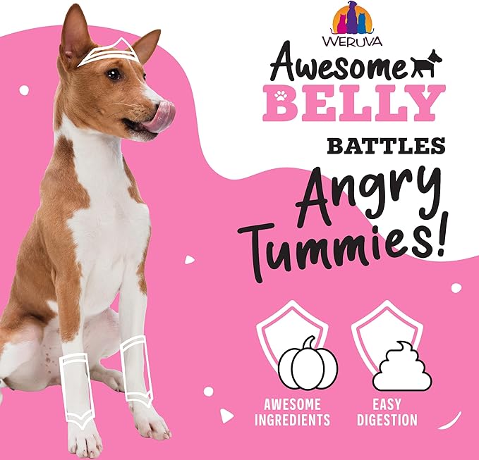 Weruva Awesome Belly, Chicken, White Rice, & Pumpkin, 6oz Can (Pack of 8)