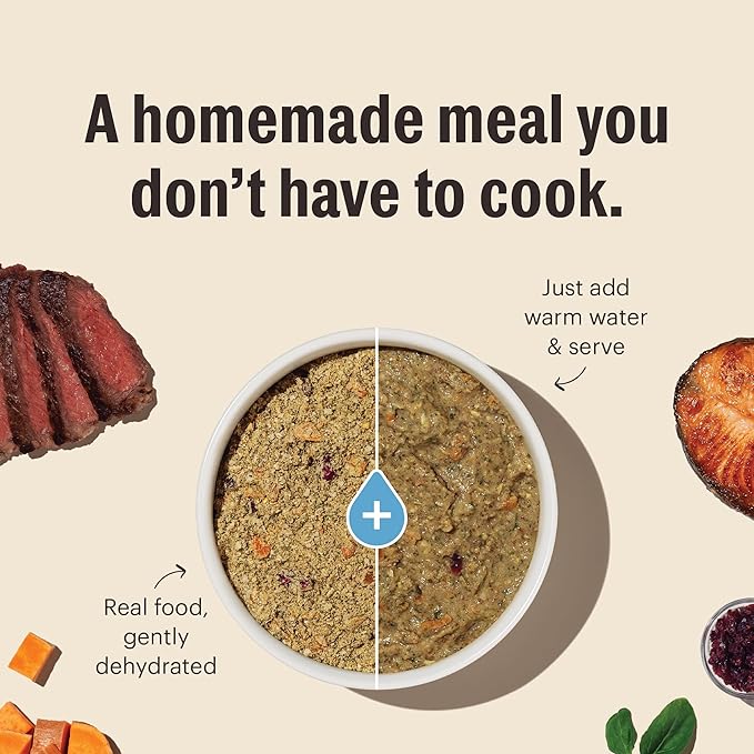The Honest Kitchen Human Grade Wholemade™ Dehydrated Whole Grain Beef & Oat Dog Food, 1.5 oz x10