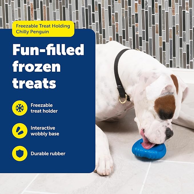 PetSafe Freezable Treat Holding Chilly Penguin - Durable,Vanilla-Scented,Rubber,Freezable Interactive Pet Puzzle for Boredom or Separation Anxiety - for Medium & Large Dogs,(Pack of 2)