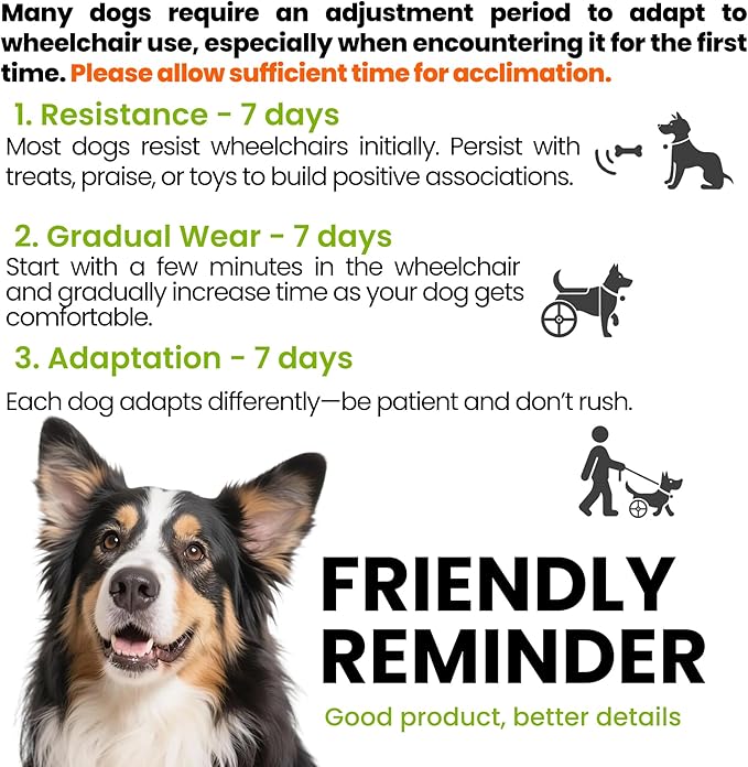 Adjustable Dog Wheelchair for Back Legs, for All Breed Dog - Includes High-Visibility Vest, Leash & Sling Lift, Lightweight Pet Wheelchair for Disabled Hind Legs (Medium, for Small Breed Dog)