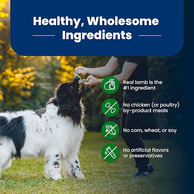 Blue Buffalo Life Protection Formula Adult Dry Dog Food, Helps Build and Maintain Strong Muscles Lamb & Brown Rice Recipe, 24-lb. Bag